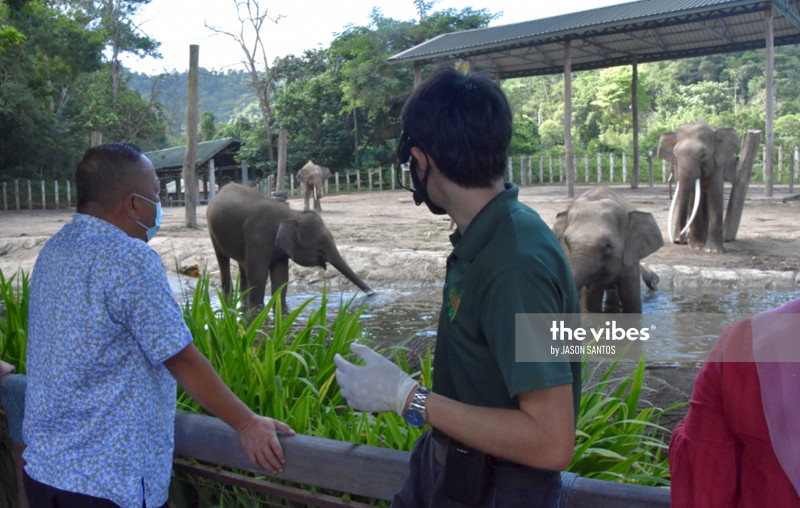 Minister calls for immediate repairs on Lok Kawi Wildlife Park