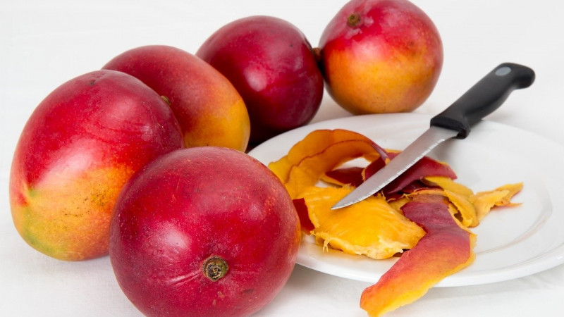 Mardi launches food technology innovations