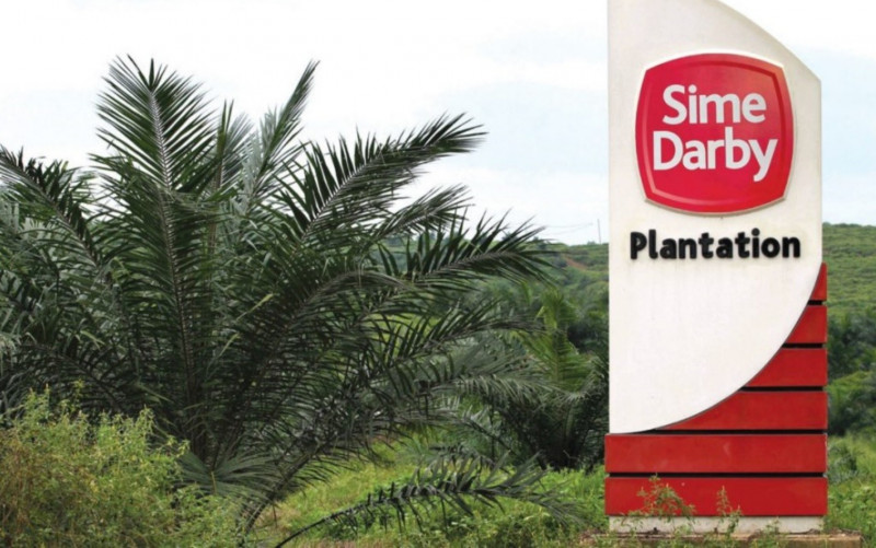 Sime Darby Plantation Q3 profit triples on higher CPO price