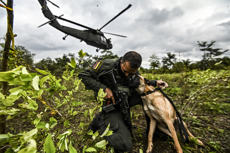 Colombia sets new record in eradicating coca production