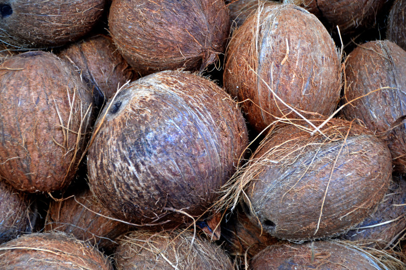 Johor plans to boost coconut output to meet national demand