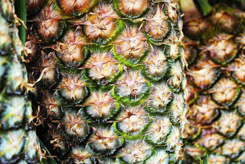 Pineapple smallholders suffer RM2.9 mil in losses due to floods