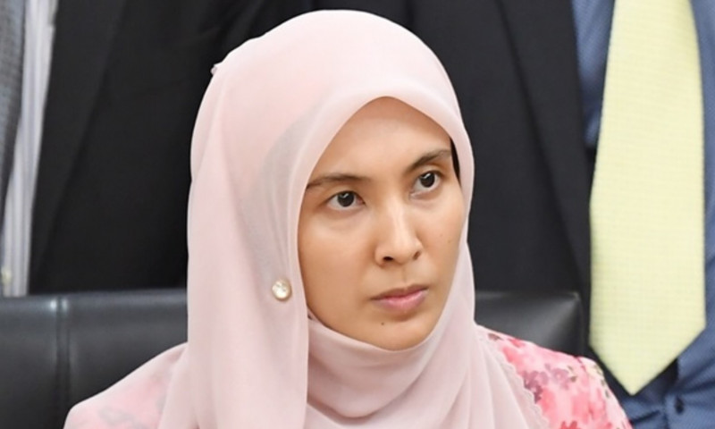 Little boot gone: Nurul Izzah shares sombre account of miscarriage