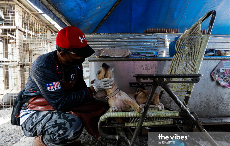 Pak Mie Shelter heir dogged by indecision