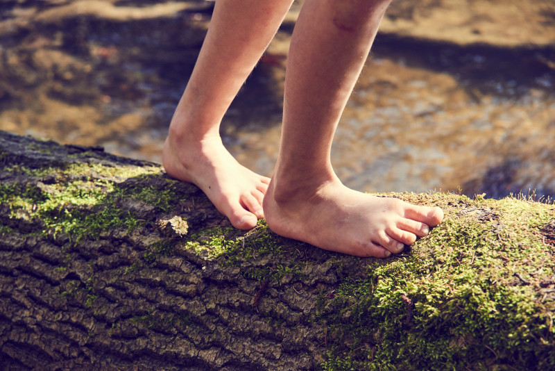 'Green care' - what it is and why we need it