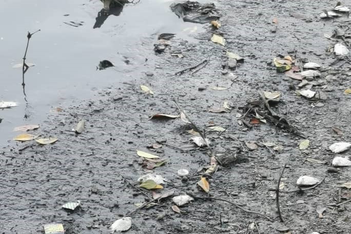Penang factory fined RM18,000 for dumping waste into Sg Prai