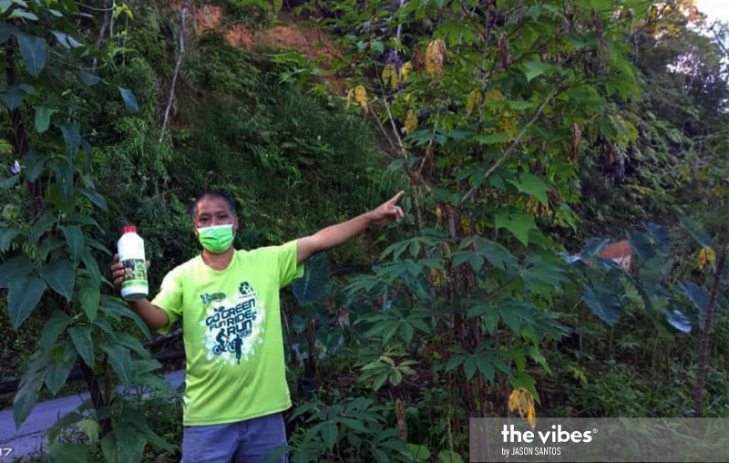 Sabah cousins’ uphill battle for survival