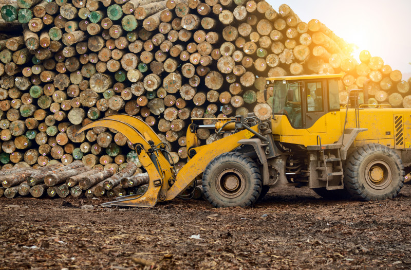 Timber association ready to implement mandatory environmental audit