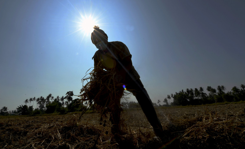 Agriculture ministry to ensure food supply during hot spell: Mat Sabu