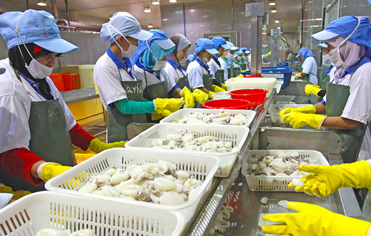 Sabah seeking control over fisheries sector, rights to revenue from marine products