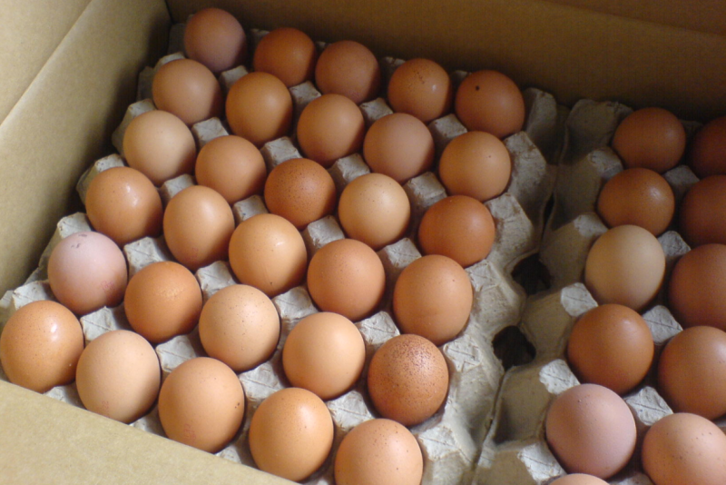 Budget 2024: price controls for eggs, chicken will be lifted to ensure sufficient supply