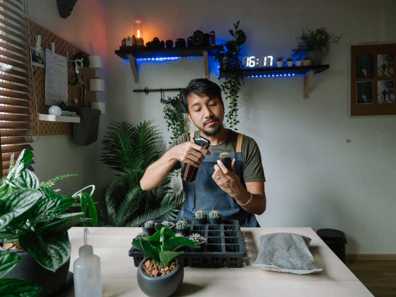 'Plantfluencers' are the hottest stars on social