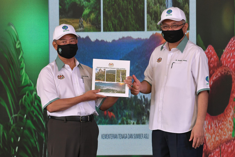M’sian forestry policy unites all states in conservation efforts: PM