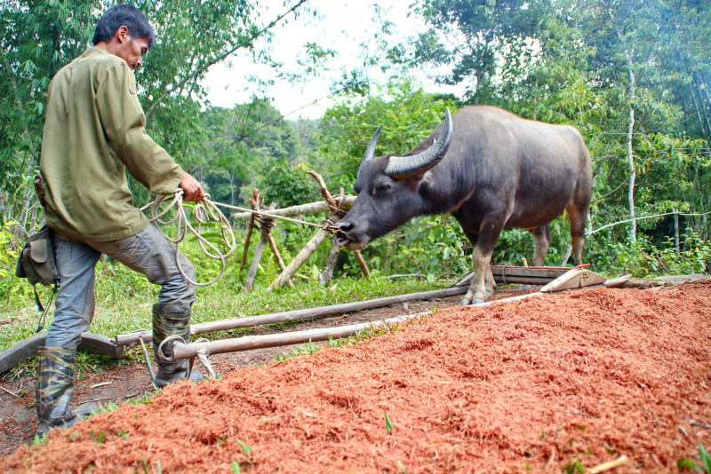 Sarawak PH forms land reform and public services committees