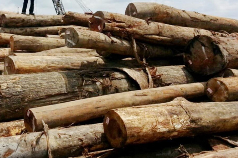 Malaysia, Vietnam ink MoC to promote timber trade