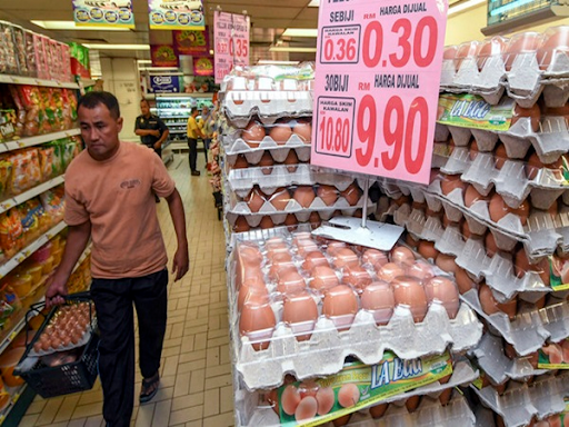Ministry issues compounds totalling RM256,800 to chicken, egg traders