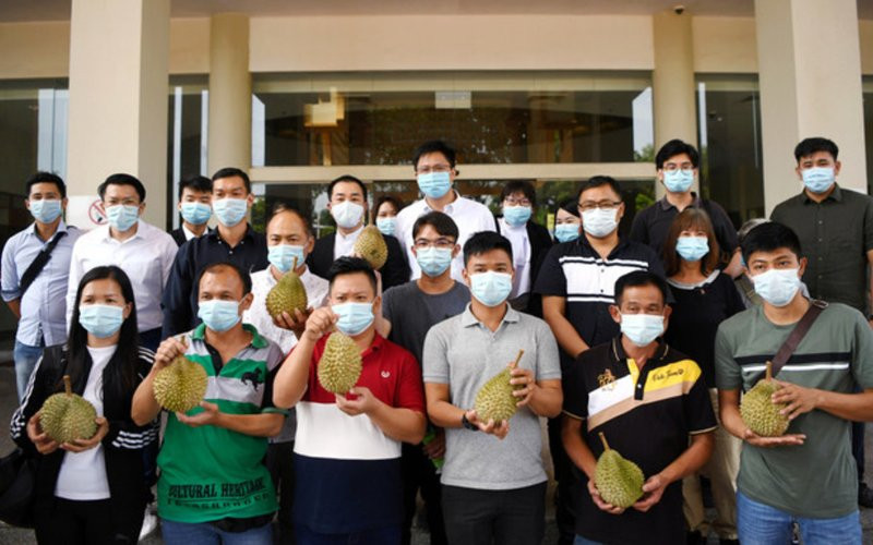 Raub durian farmers’ judicial review bid to be heard at high court