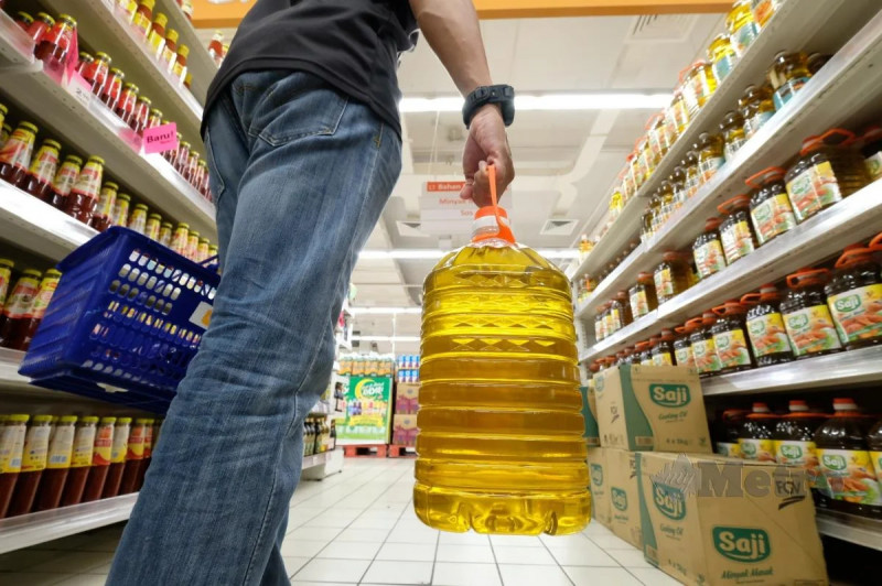 Axe goods’ subsidies, give financial assistance instead: activist