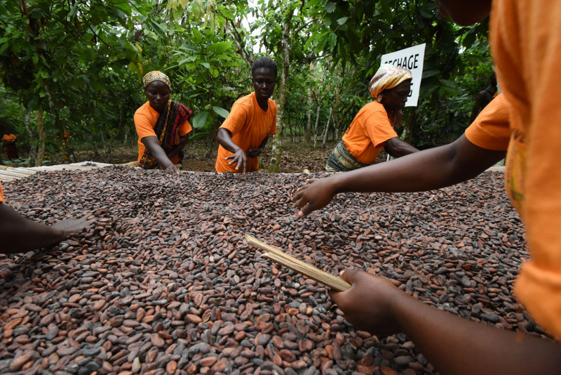 US Supreme Court tosses slavery case against Cargill, Nestle USA