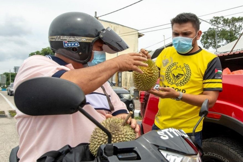 Got durian? Kelantan goldsmith hands out 1.2 tonnes king of fruits to motorists
