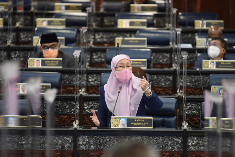 Suicide stems from mental illness, not a crime: Wan Azizah urges decriminalisation