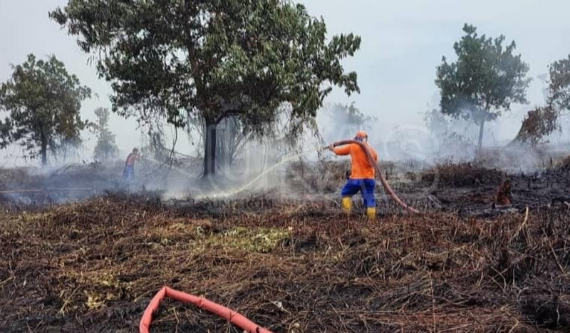 Wildfires tear through Sarawak as heat persists