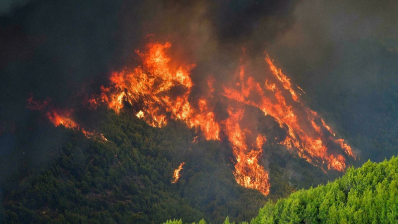 Greece burns: blazes moving closer to Olympian archaeological site