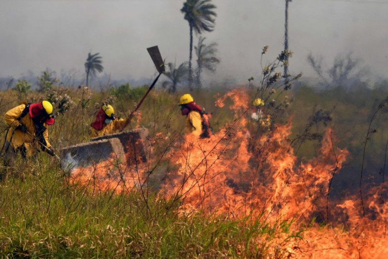 15,555 forest fires raze vast areas in Bolivia over 7 months
