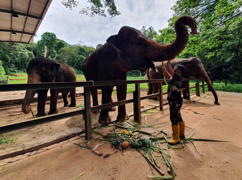 Melaka Zoo may need to restructure to survive: municipal council