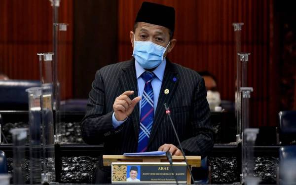 Questions only meant to improve our ministers: Shahidan