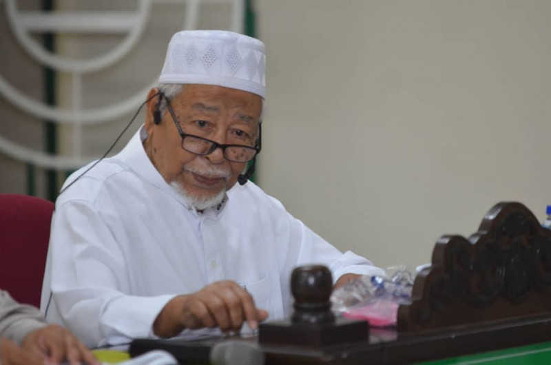 Hadi’s words against unity govt not linked to IS’ presence: PAS