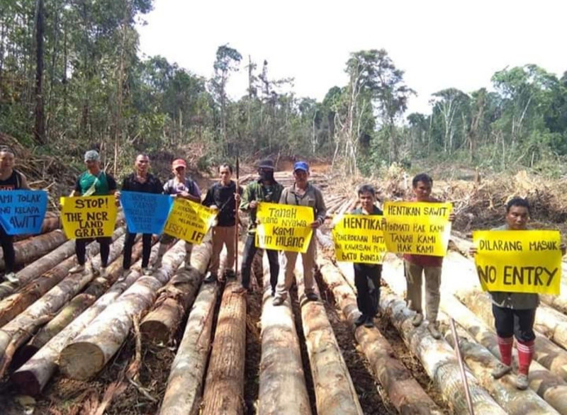 Baram community launches anti-logging campaign in forests of northern Sarawak