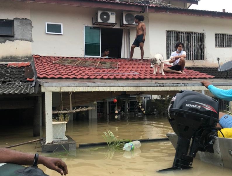 Now every time it rains, I have nightmares: flood victim