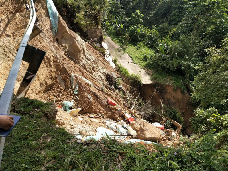 No logging activity detected at Lentang forest reserve: Pahang govt