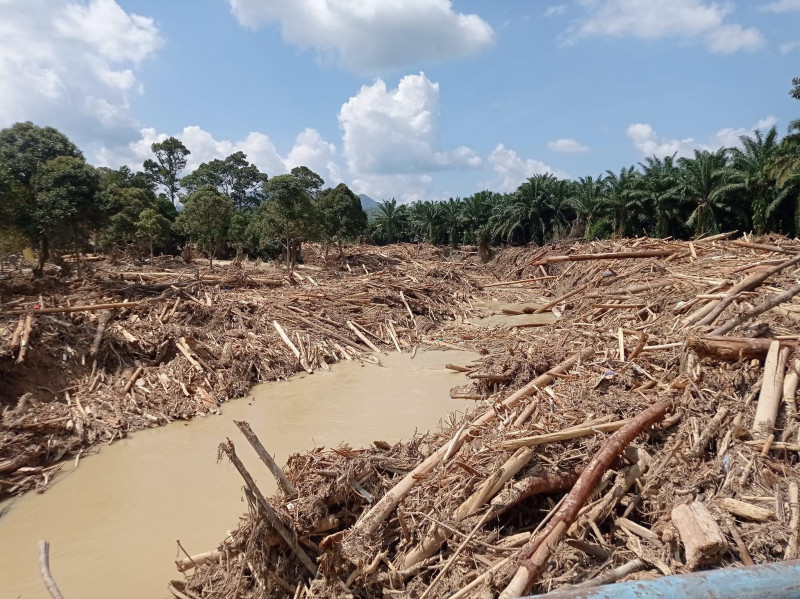 DoE approves 46 Pahang EIAs in 2021, including logging, forest plantations