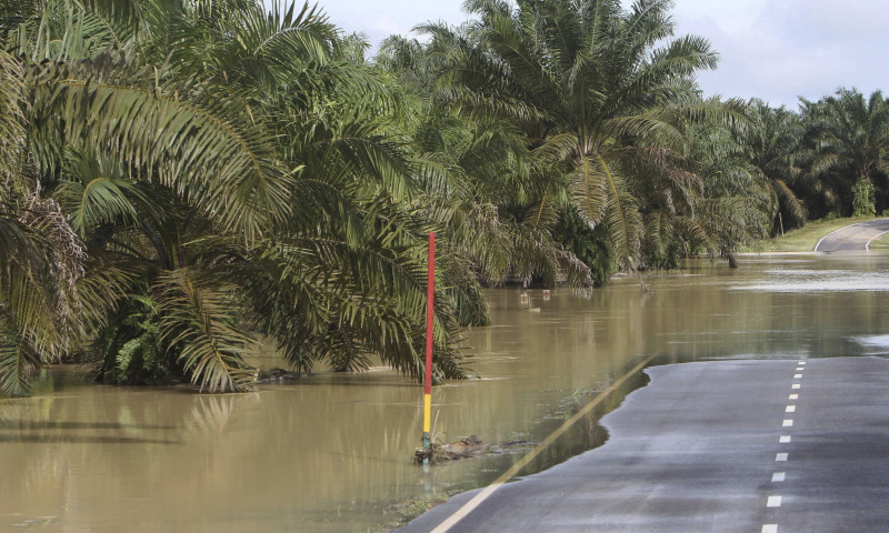 Over 1,000 Orang Asli residents stranded by floods in Mersing since Sunday: Jakoa