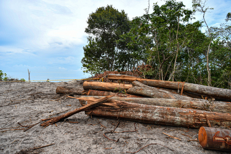 Re-gazette Pasir Panjang beach, stop illegal sand mining: activists