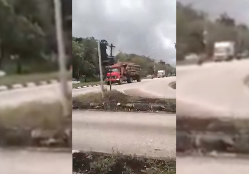 ‘RTD vehicles escorting timber lorries in Kelantan part of special operation’