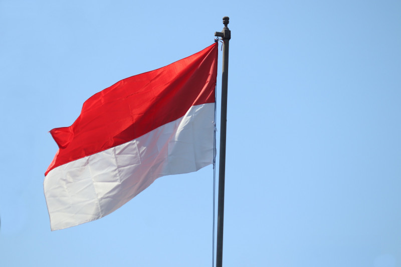 Indonesia names new capital Nusantara