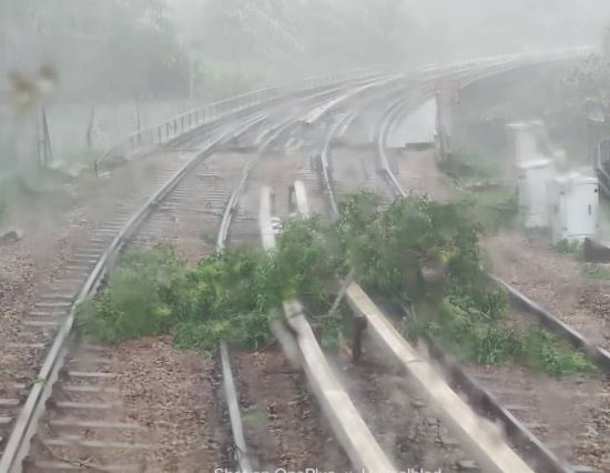 LRT Sri Petaling line temporarily halted due to fallen tree on tracks