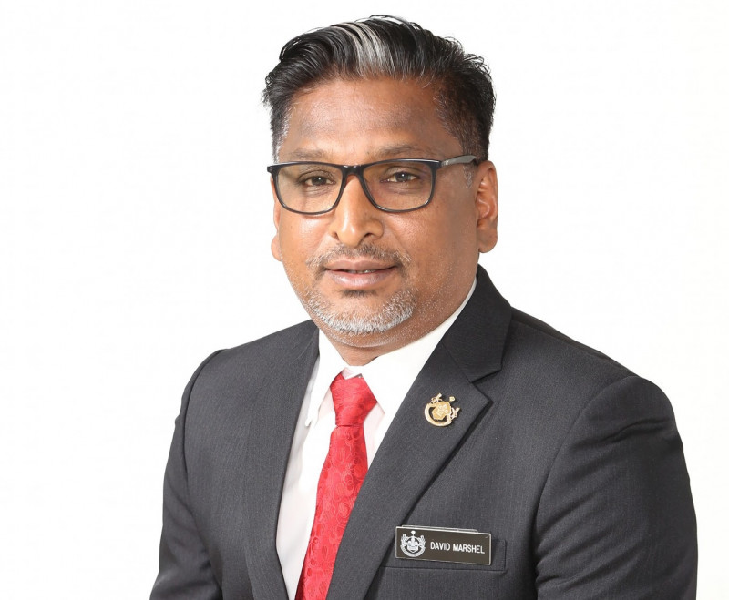 Expedite probe into Penang custodial death: state councillor 