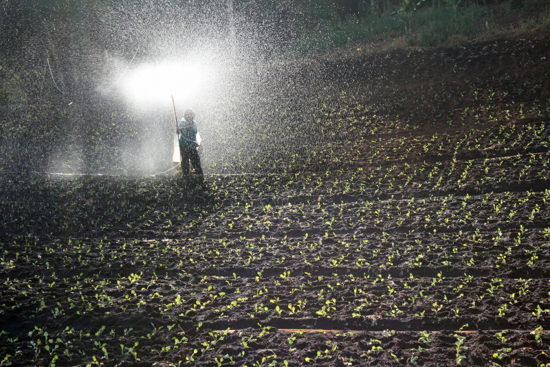 Mafi sourcing materials from other countries due to Russia-Ukraine war