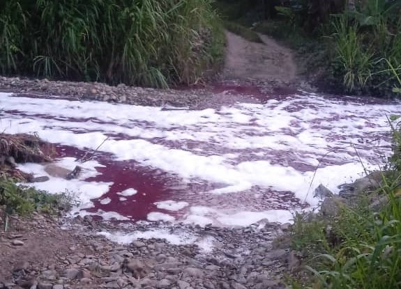 Sabah shuts down water treatment plant after glue spill in rivers