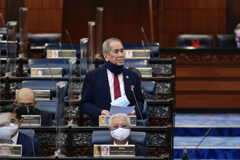 Wan Junaidi to chair parliamentary committee on anti-hopping constitutional amendments