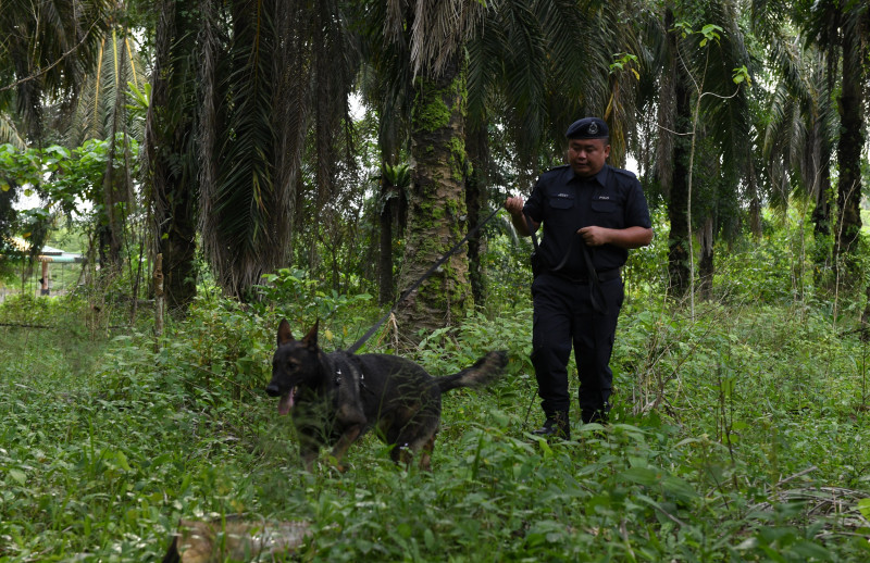 61 Rohingya escapees from Sg Bakap depot still at large: cops