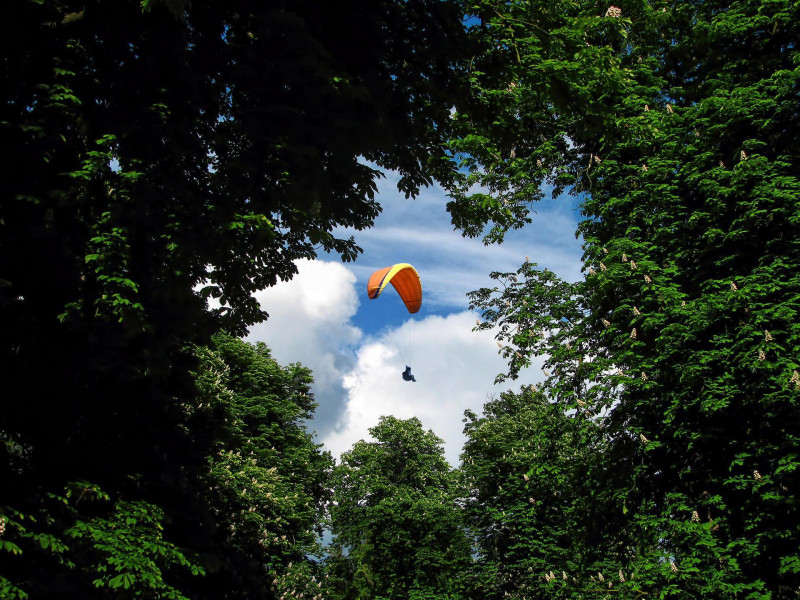 Man dies after crashing into tree while paragliding in Selangor