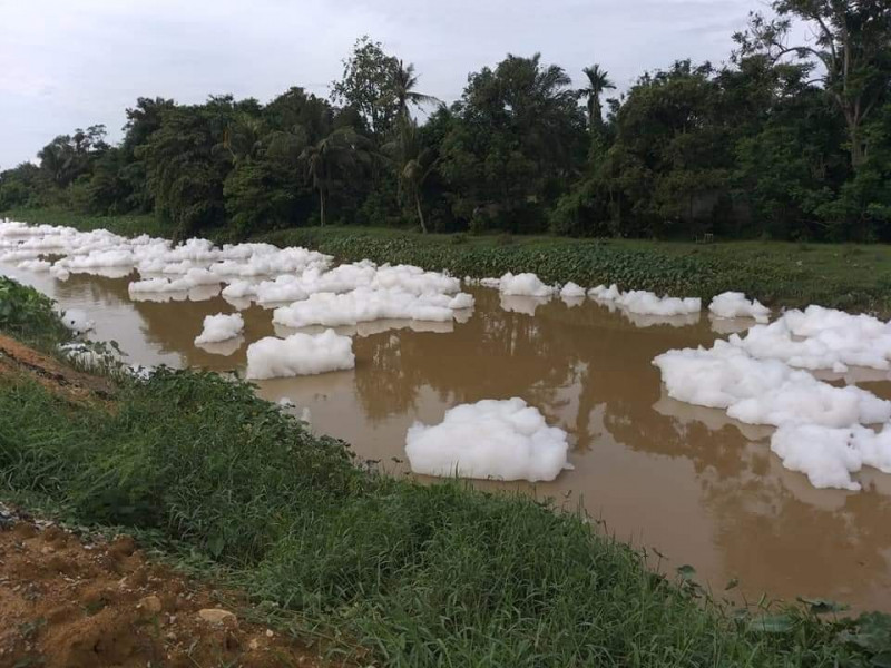 Don’t let pollution bring Sg Skudai to same fate as Sg Kim Kim – CAP