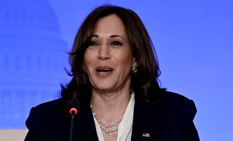 Kamala Harris leads high-level US team to meet new UAE leader
