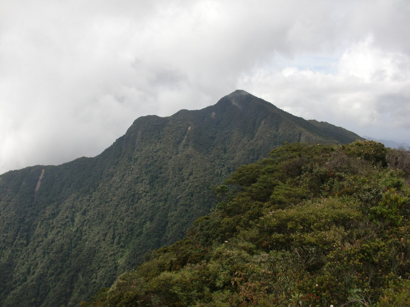 66-year-old climber dies on Titiwangsa Range
