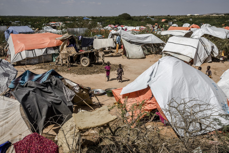 Global displacement affects nearly 60 mil people: monitors